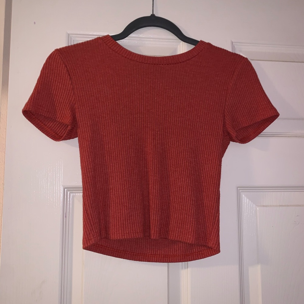 Fitted Crop Top